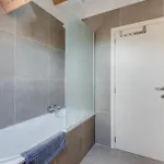 Feriehus De Lanterfanters Vakantiehuisjes