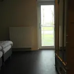 Feriehus De Lanterfanters Vakantiehuisjes *
